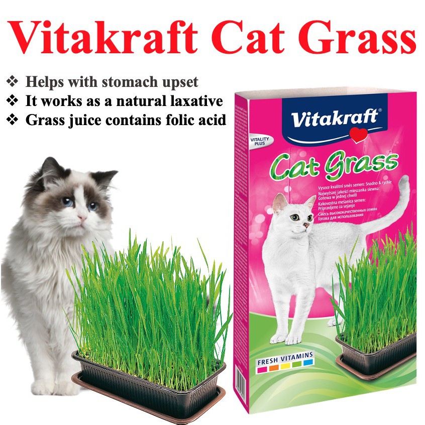 Vitakraft Cat Grass Cat Snack Grow your Cats organic grass/ Cat Grass