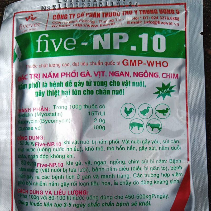 Kite Mushrooms, Ancient Coughing Mouth, Unhealthy Cough, With Black And