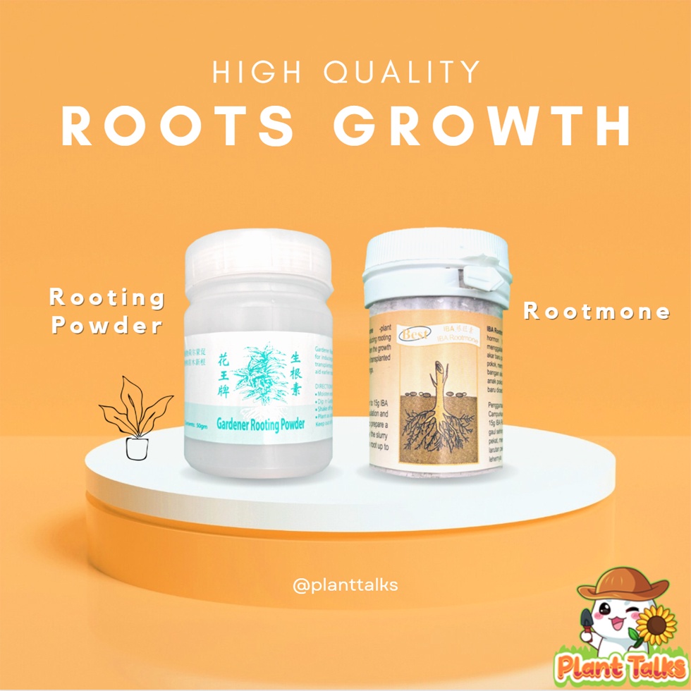 Premium Rooting Powder BEST IBA Rootmone Rooting Plant Hormone Roots