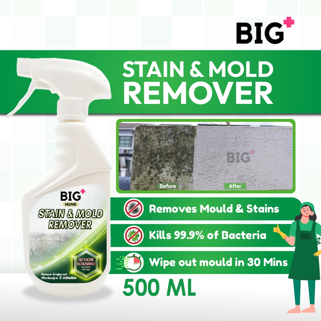 BIG+ Stain & Mold Remover (500ml) For Toilet Bathroom Mosaic Wall Mold