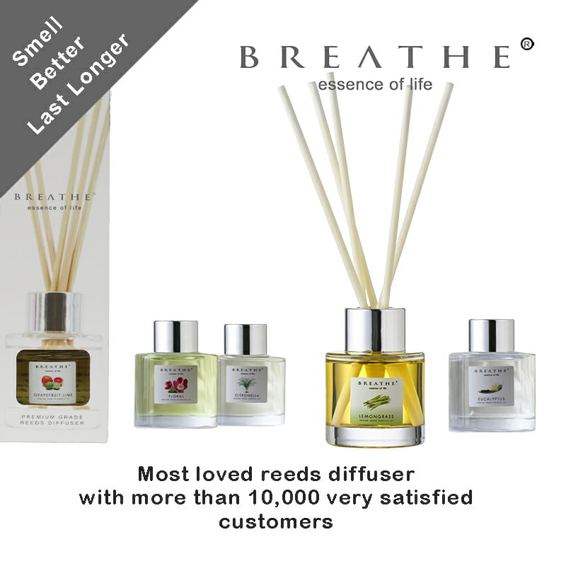 Discover the Best Reed Diffuser in Singapore Our Top 6 Picks