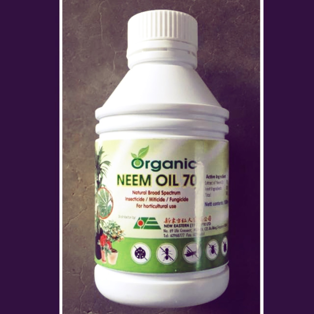 Organic Neem Oil 70 (500ml) broad spectrum insecticide/miticide/fungicide that kills eggs