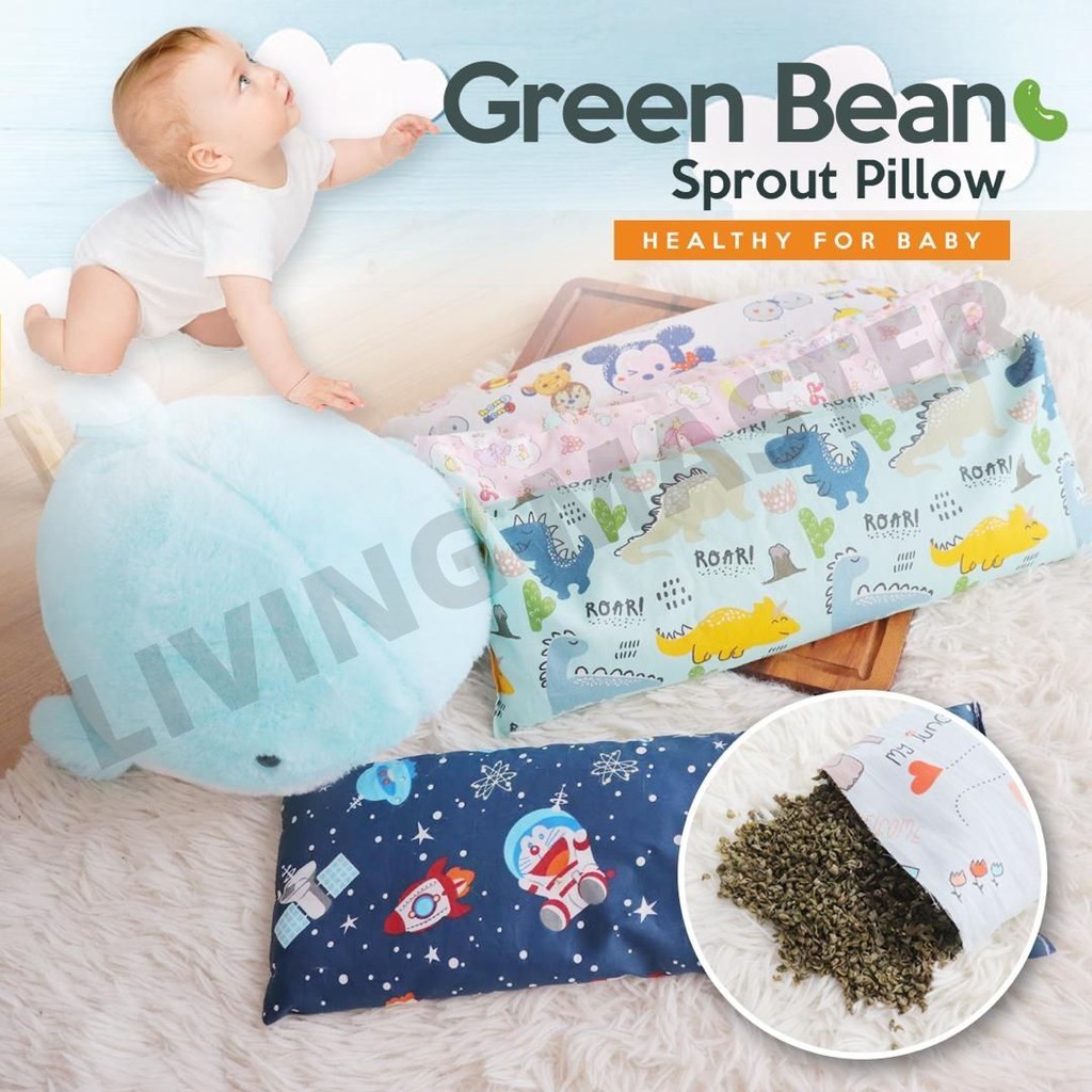 100 Handmade Baby Organic Bean Sprout Husk Pillow/Pillow Case Only