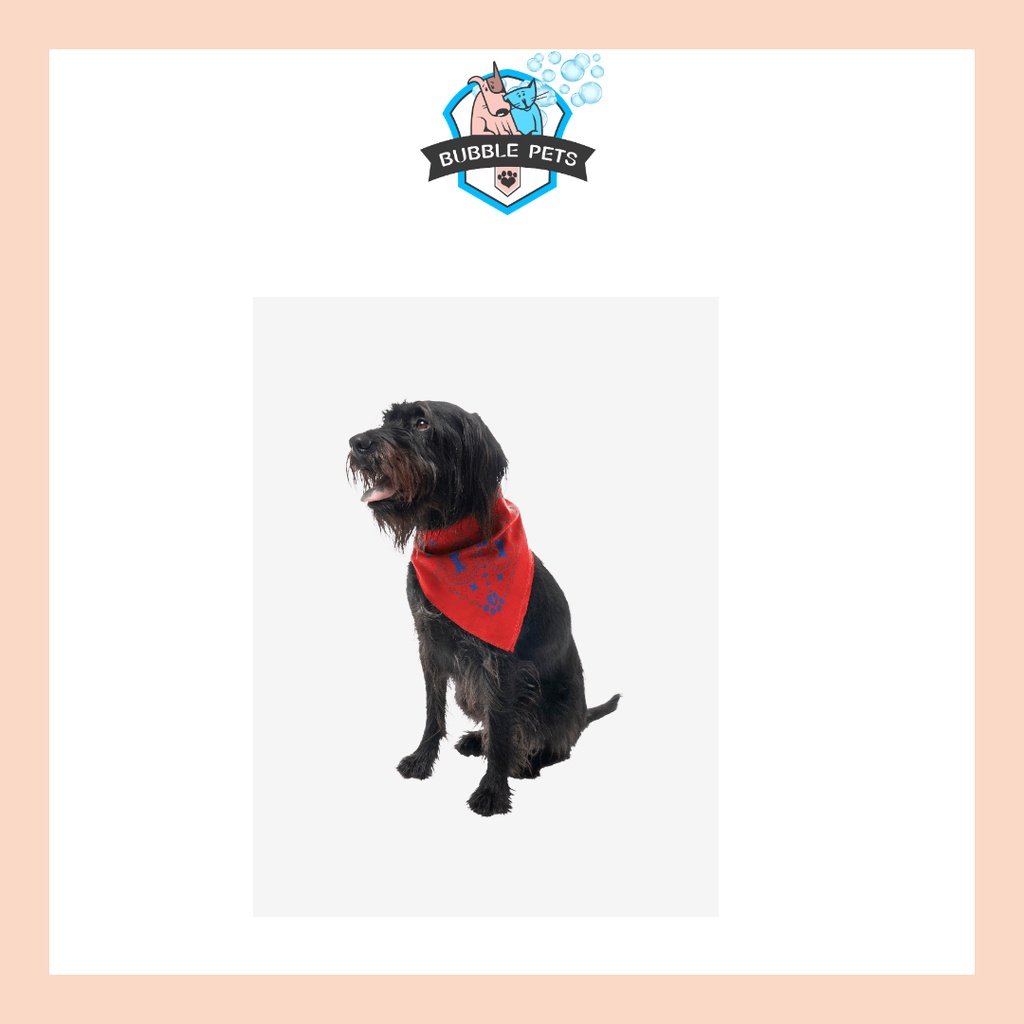 Insect Shield Paisley Flea & Tick Repellent Bandana for Dogs (Poppy