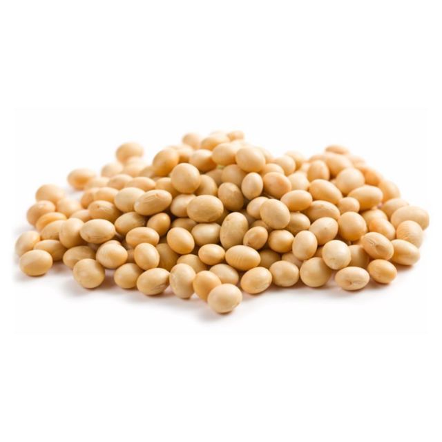 NONGMO CANADA SOYABEAN 500GM Modified Canadian