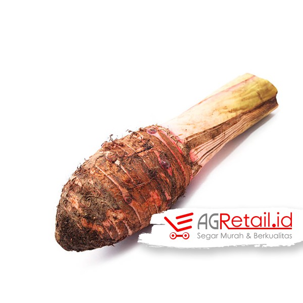 Talas Bogor 1 Kg Shopee Singapore