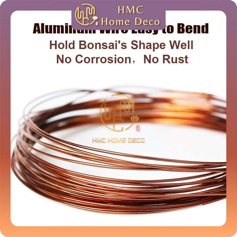 HMC 100 g BRONZE COLOR ALUMINIUM BONSAI GARDENING WIRE Shopee Singapore