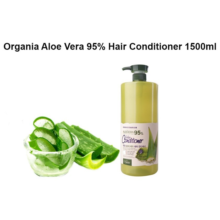 Best PregnancySafe Hair Conditioner Brands in Singapore