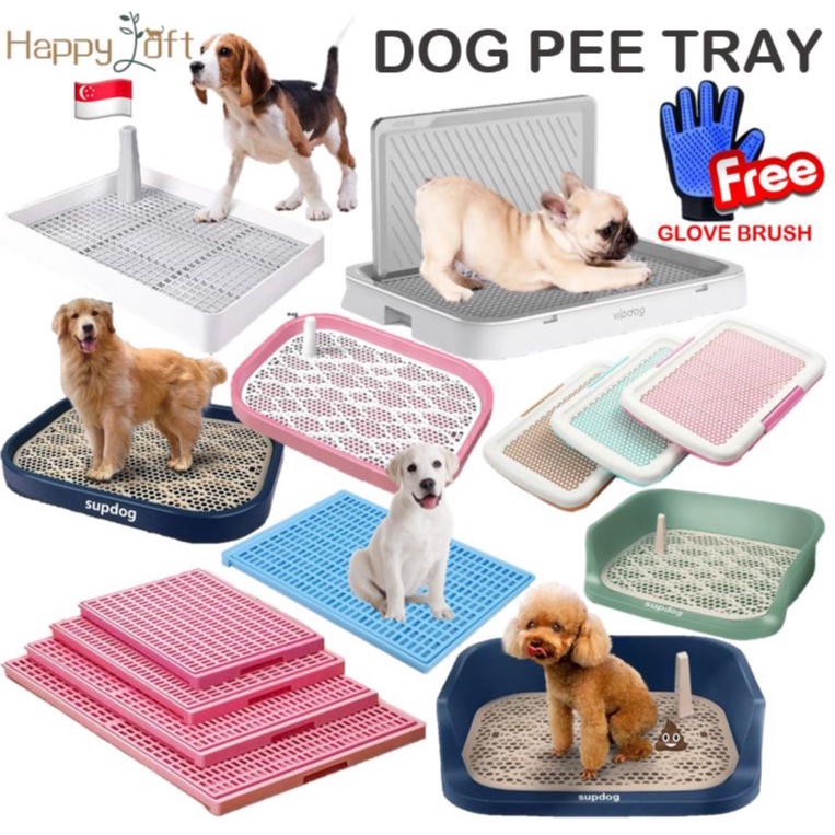 [SG SELLER] Dog Pee Tray Indoor Dog Potty Toilet Training Tray Dog