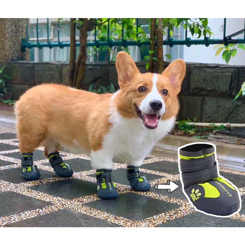 TRUELOVE Pet Dog Shoes For Small Large Dogs Outdoor Reflective Shoes