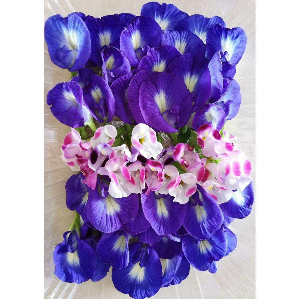 EXPRESS HOME DELIVERY Available Fresh Blue Pea Flowers *Edible*For