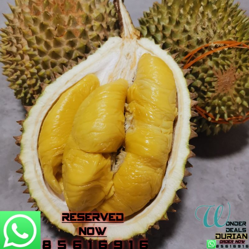 MSW Fresh Durian pack in box 400g vacuum sealed Shopee Singapore