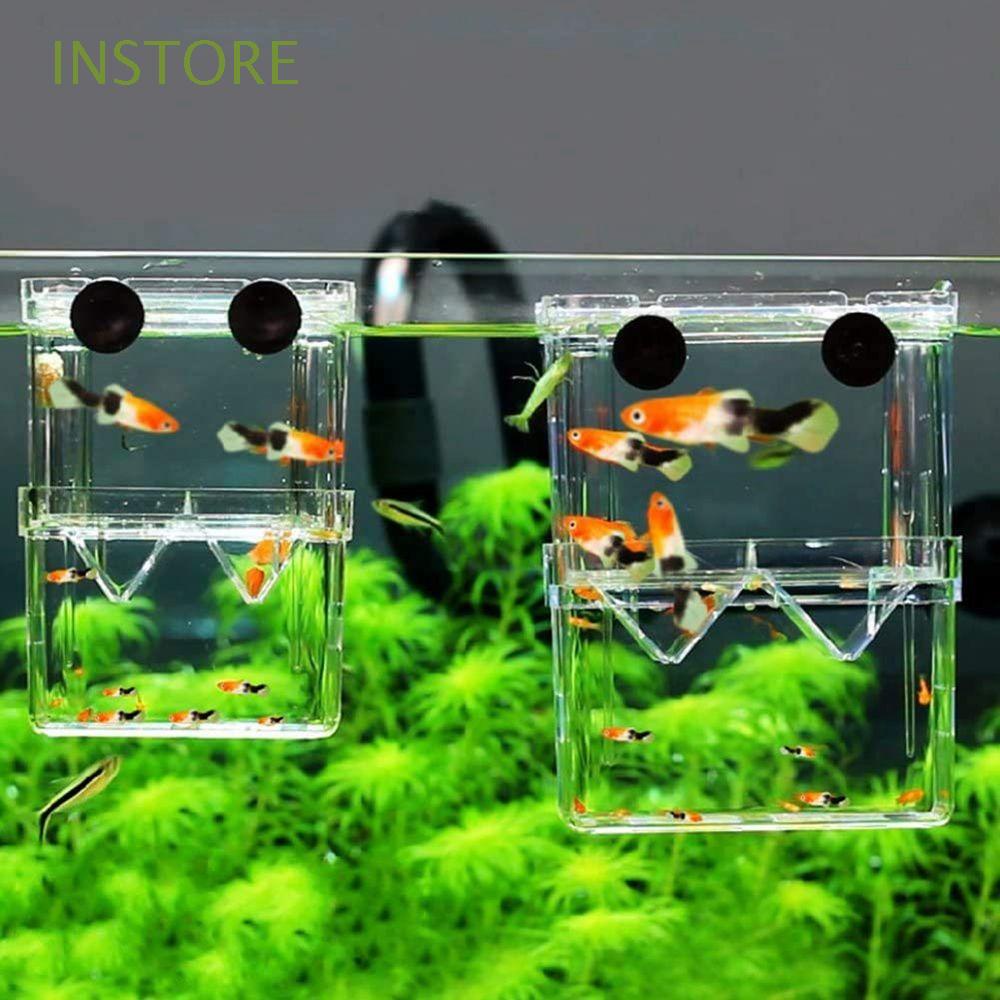 INSTORE Acrylic Hatchery Fish Tank Breeding Box Incubator With Suction