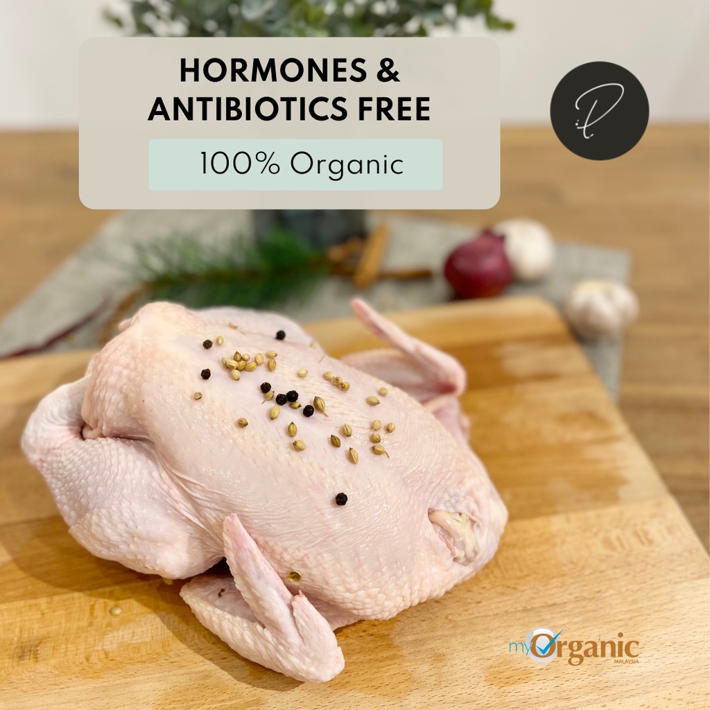 Punched Foods Organic Whole Chicken 1.62kg (100 Hormones