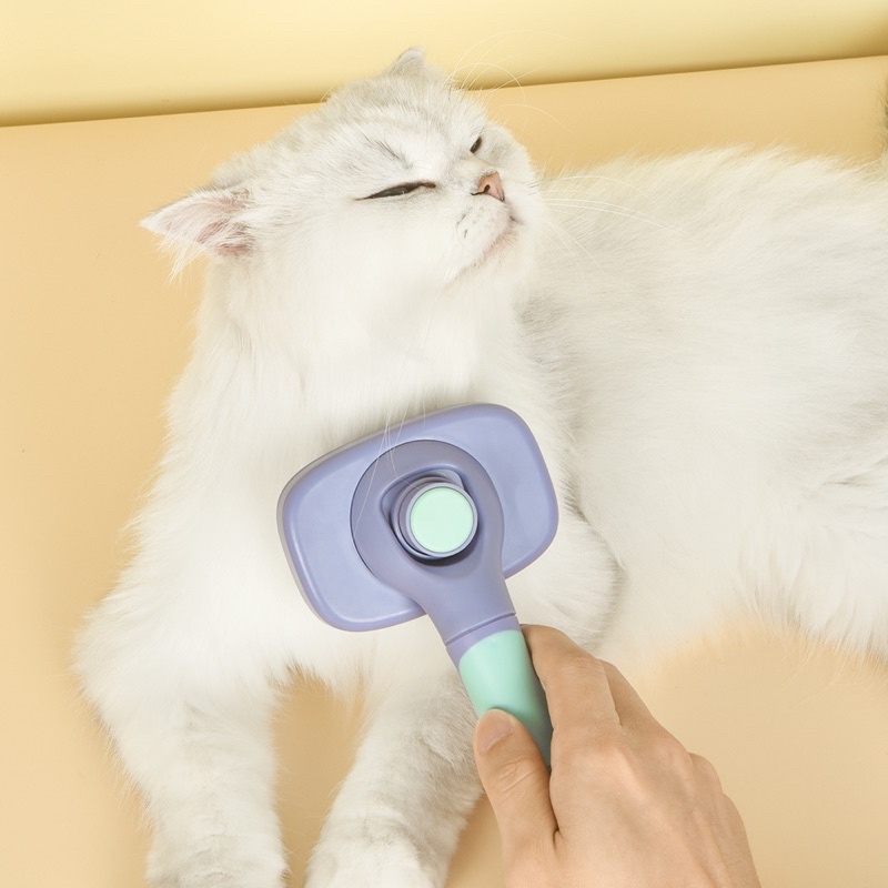 [SG Stock] Pakeway T10 Pro rotation self cleaning slicker Brush Cat