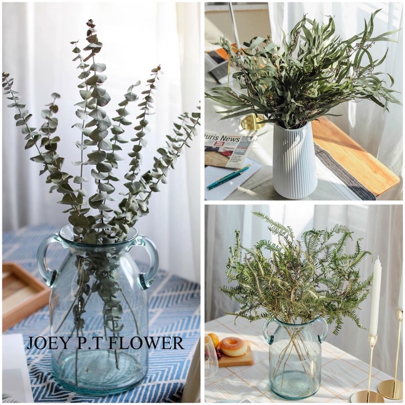 [SG READY STOCKS] Preserved Flower Wholesaler：Dried (Eucalyptus, Apple Eucalyptus, Mountain
