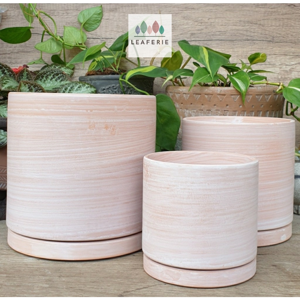 The Leaferie Terracotta D Flowerpot . flowerpots . flower pot . plant