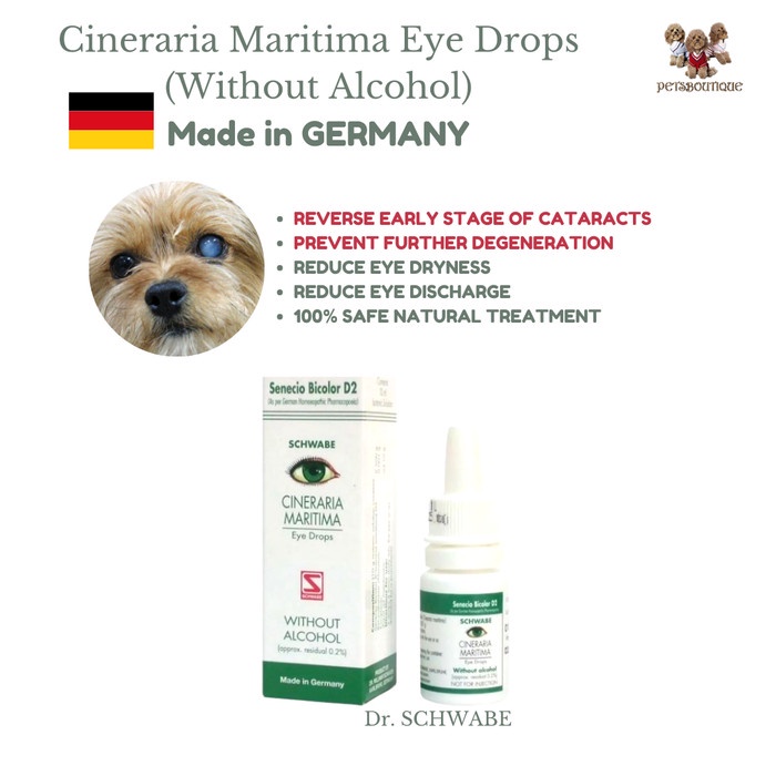 MATA Dr. Reckeweg CINERARIA MARITIMA EYE DROPS For CATARACT EYE DROPS