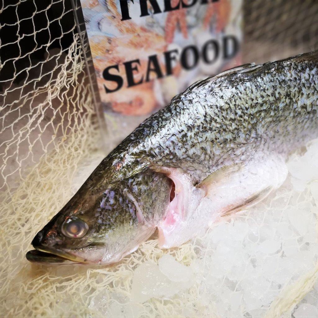 [Song Fish] FRESH Barramundi Whole 450g Shopee Singapore