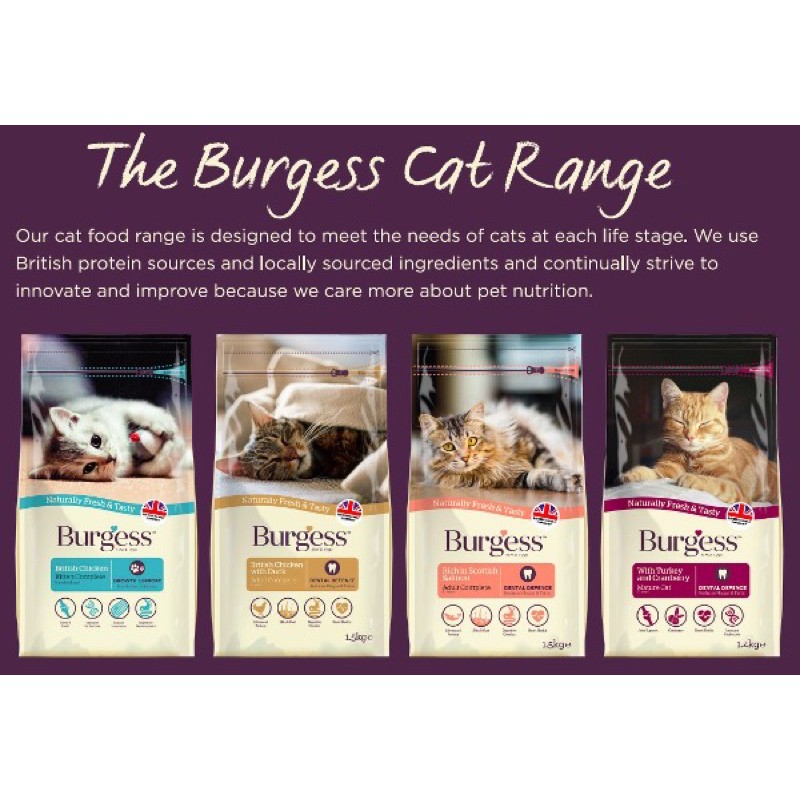 Burgess Cat Food Shopee Singapore