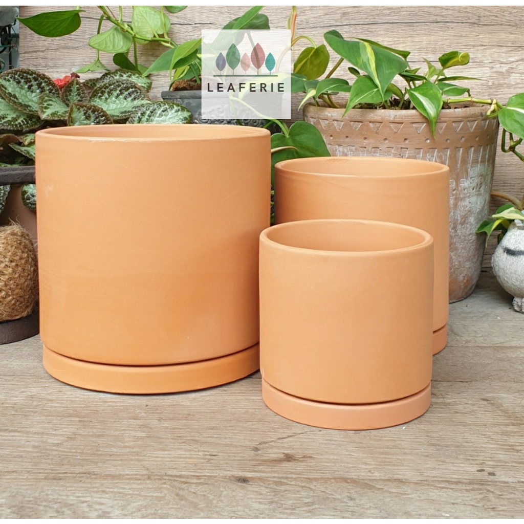 The Leaferie Terracotta E Flowerpot . flowerpots . flower pot . plant