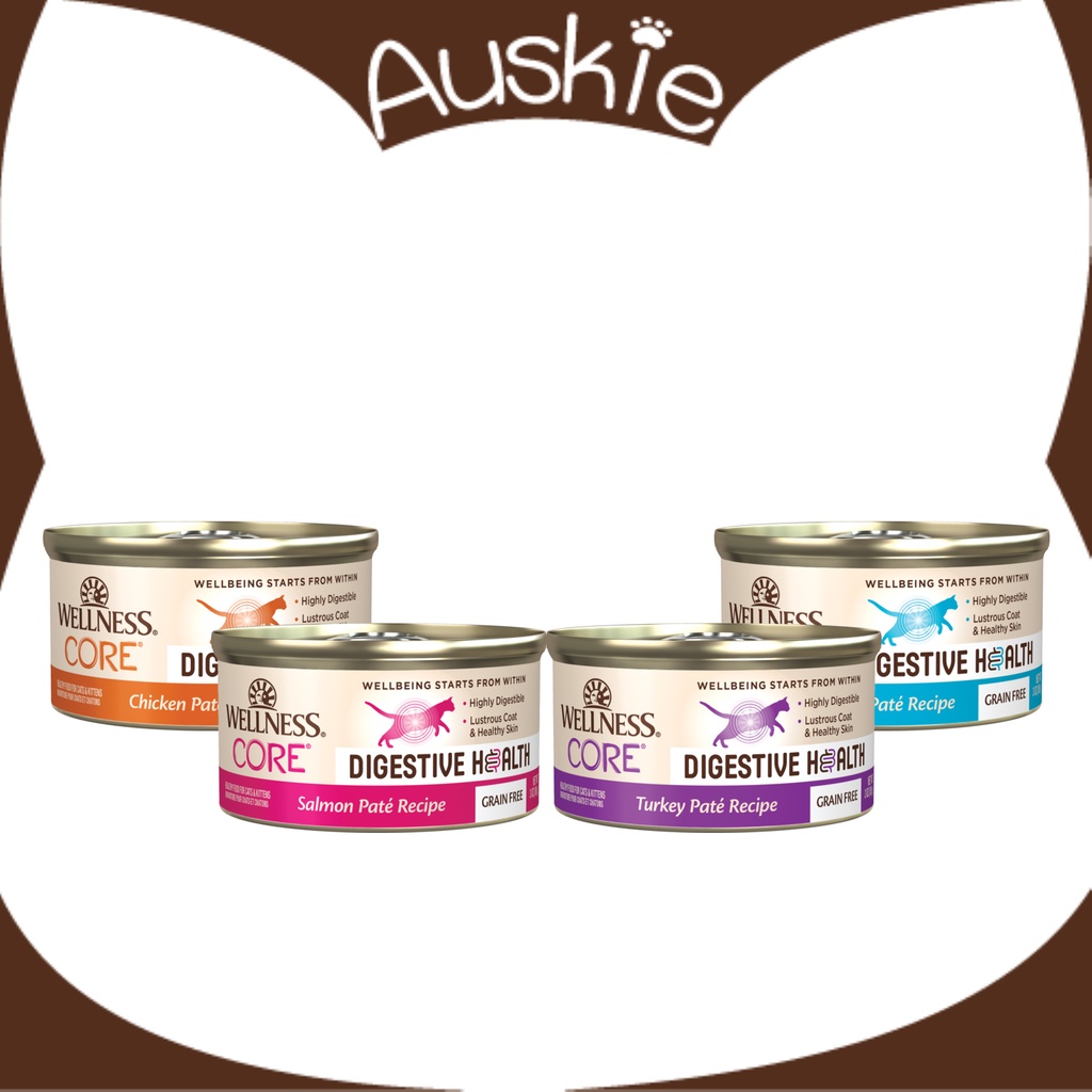 Wellness Core Digestive Health Pate Wet Canned Cat Food 3oz Can (4