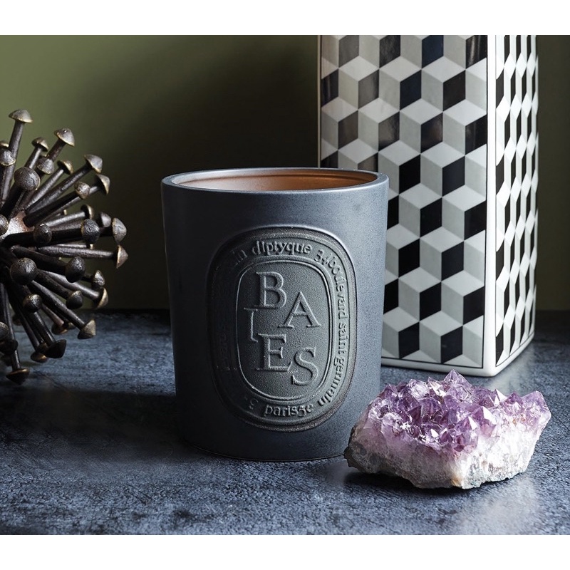 DIPTYQUE LARGE INDOOR/OUTDOOR CANDLE Shopee Singapore