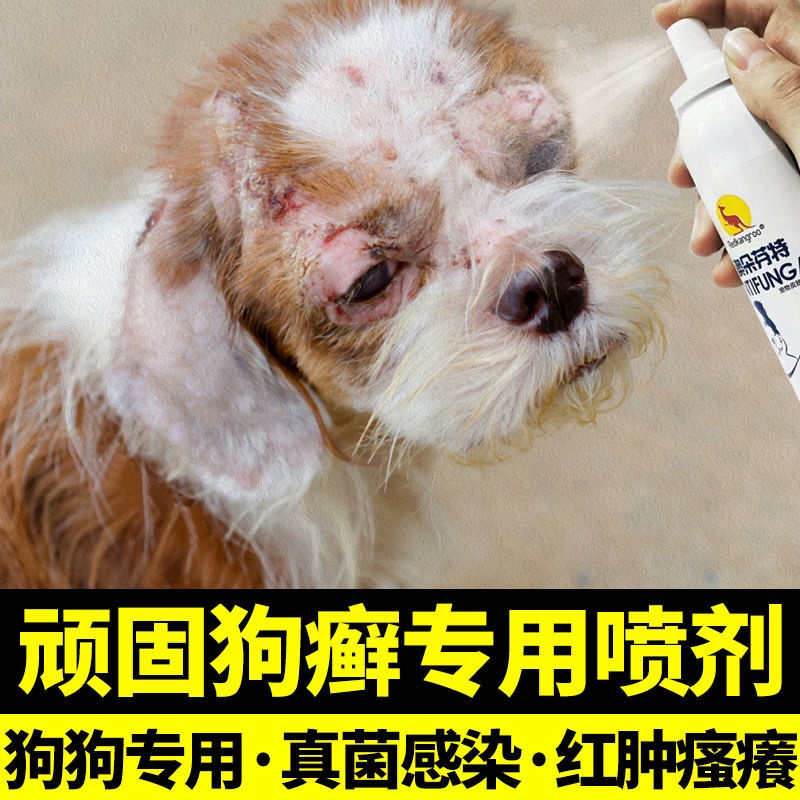 Dog Skin Disease Dedicated Medicine Treatment Pets Fungus Mite