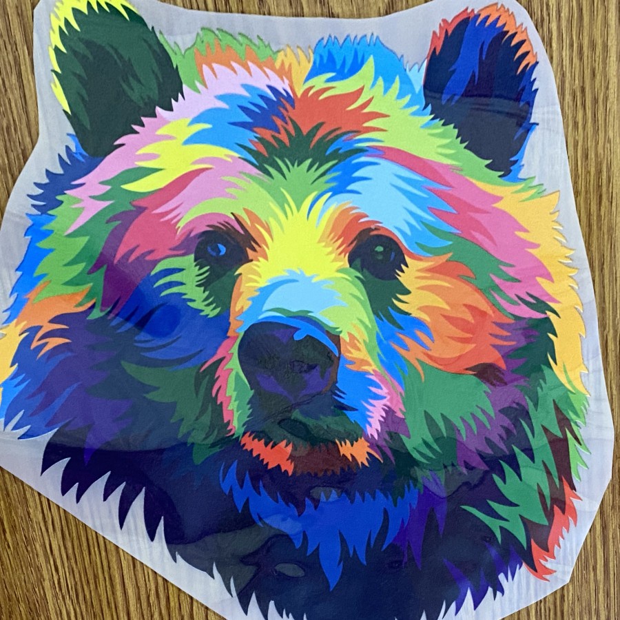 Dtf Digital Transfer Film Screen Printing Full Color Print Print A4