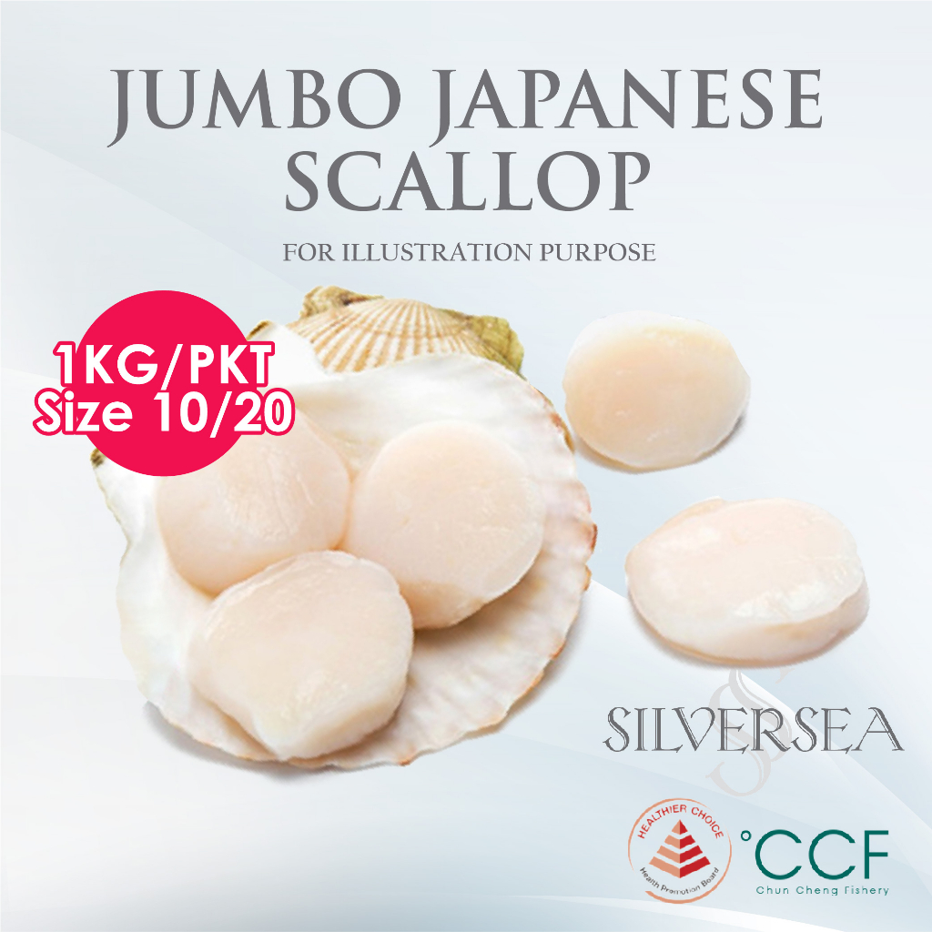 Silversea Jumbo Japanese Scallop 1KG [BIG SIZE 1020 Pieces] Fresh