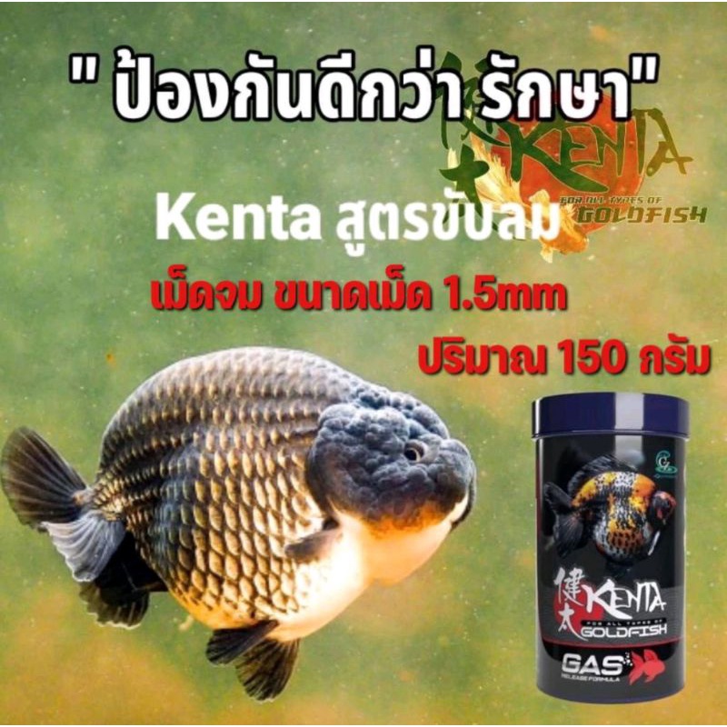 Kenta GoldFish Food อาหารปลาทอง Kenta สูตรขับลม ลดปัญหาท้องอืดเสียการ