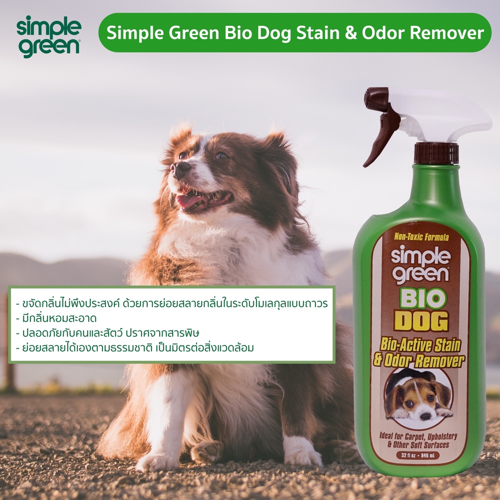 SIMPLEGREEN NO.15301 DOG Stain & Odor Remover Trigger Spray 32 oz
