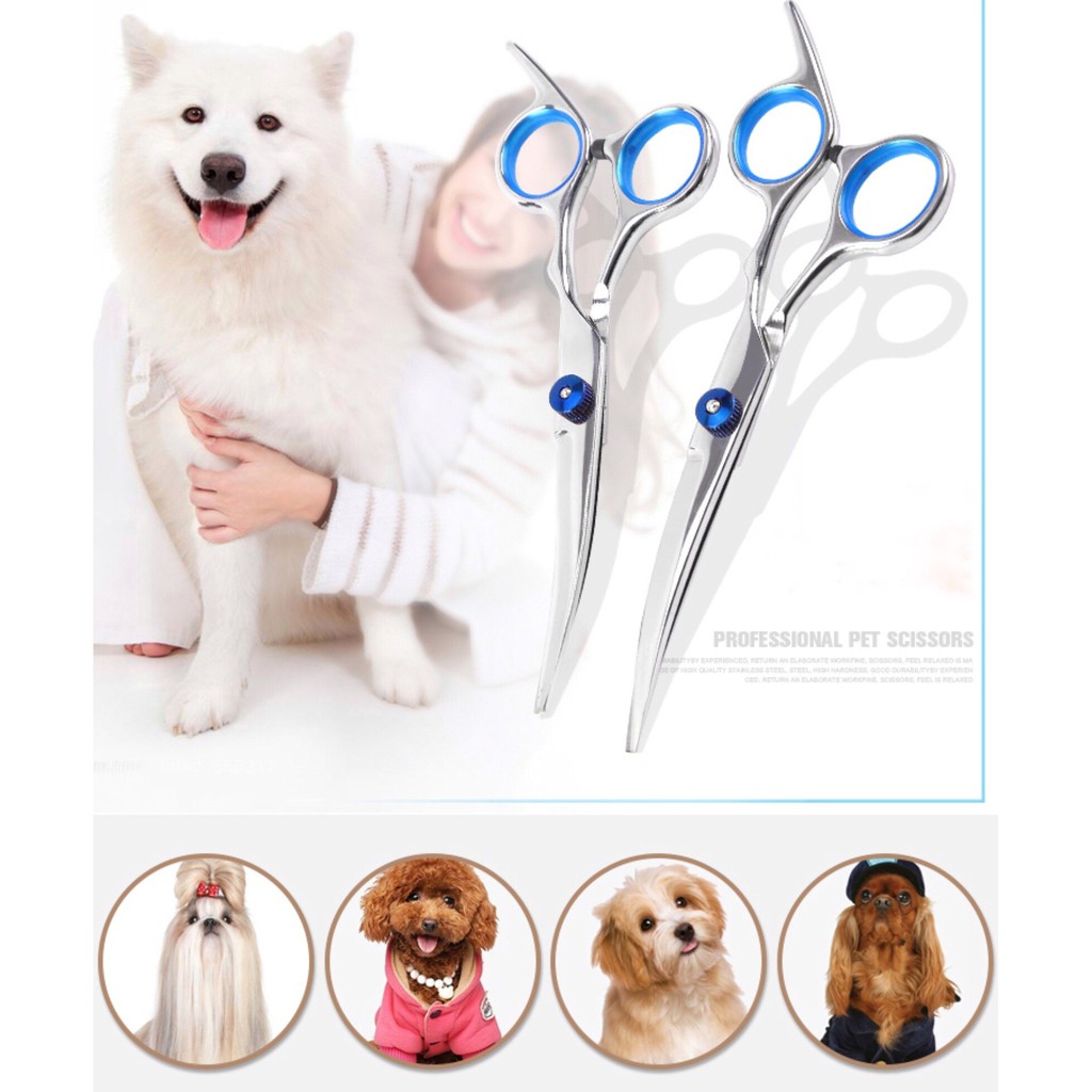 Top paw Grooming Scissors กรรไกรตัดขนสัตว์เลี้ยง Shopee Thailand