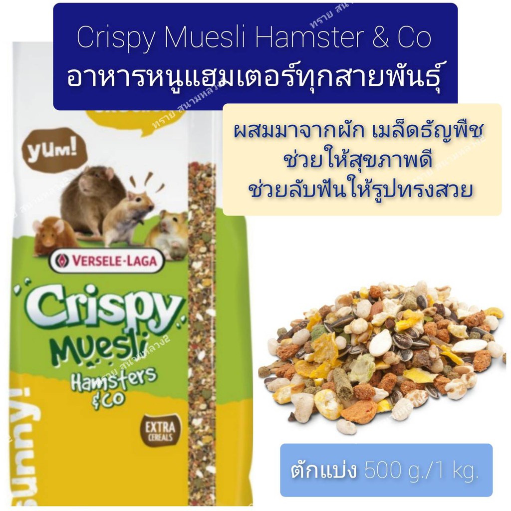as Crispy Muesli Hamsters อาหารแฮมเตอร์สูตรประหยัด คริสปี้ เพิ่มธัญพืช