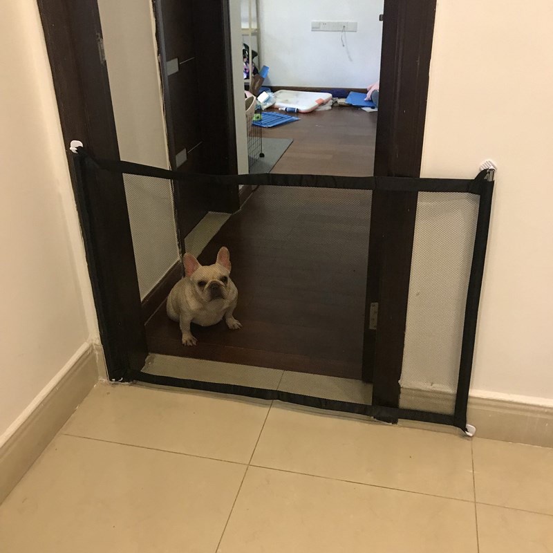 รั้วNew Pet Barrier Fences Portable Folding Breathable Mesh Dog Gate