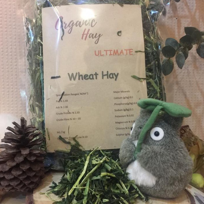 Wheat Hay ใบข้าวสาลี อบแห้ง อบกรอบ อาหารสัตว์เลี้ยง สัตว์ฟันแทะ