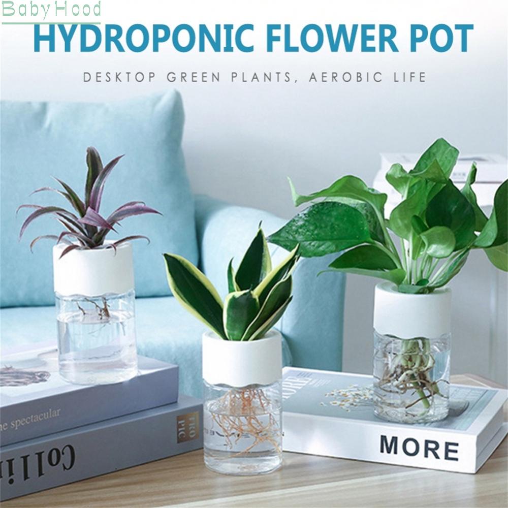 【Big Discounts】Hydroponic Plant Pots Water Planting Vase Plastic