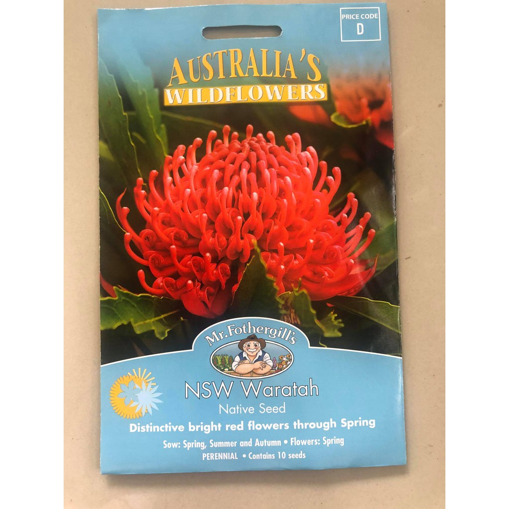 เมล็ดพันธุ์ NSW Waratah Native seed Shopee Thailand
