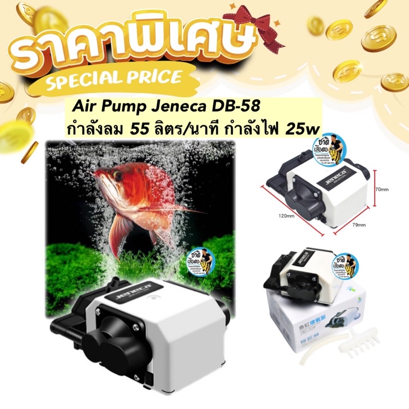 ปั๊มออกซิเจนให้ลมเยอะ Air Pump Jeneca DB58 กำลังลม 55 ลิตร/นาที กำลัง