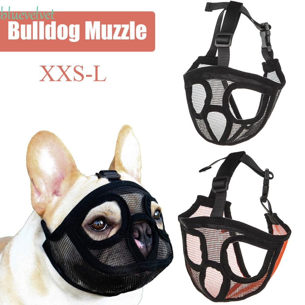 BLUEVELVET Pet Small Dog French Bulldog Muzzle Dog Mouse Basket