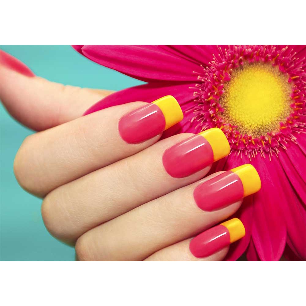 โปสเตอร์ภาพทำลายดอกเยอบีร่า ชมพูเหลือง Nails Care Beauty ขนาด A3 (แนวนอน 200g.) P009NL Shopee