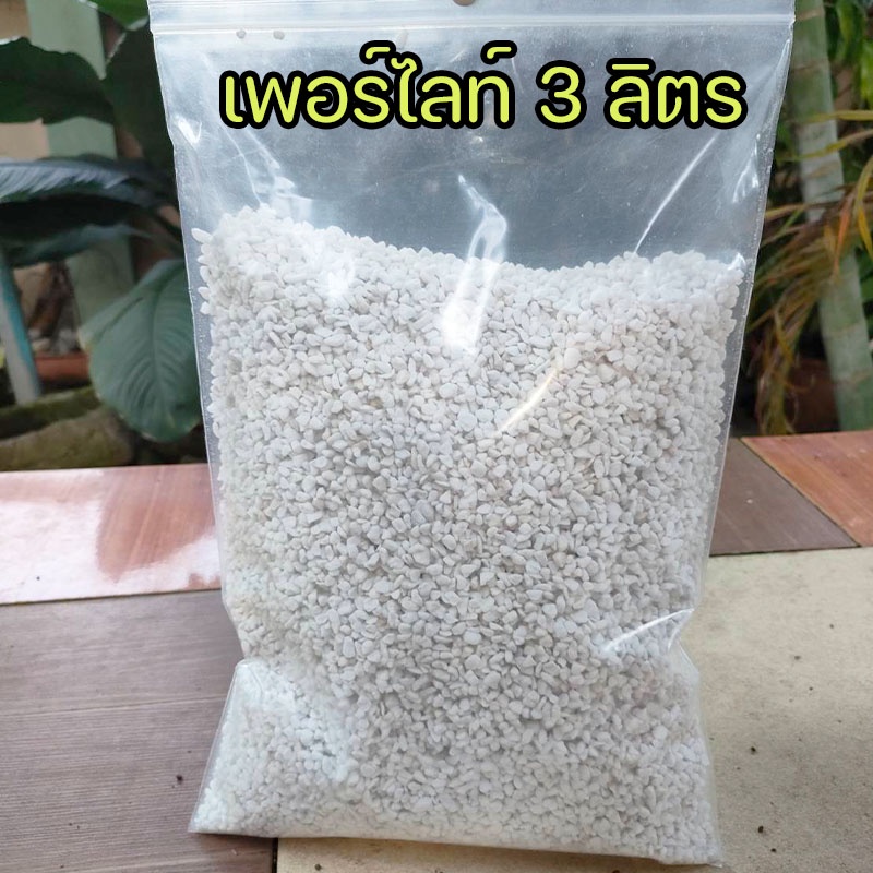 เพอร์ไลต์ (Perlite) แร่ที่ต้นไม้ต้องการ กักเก็บรักษาความชื้นได้ดี
