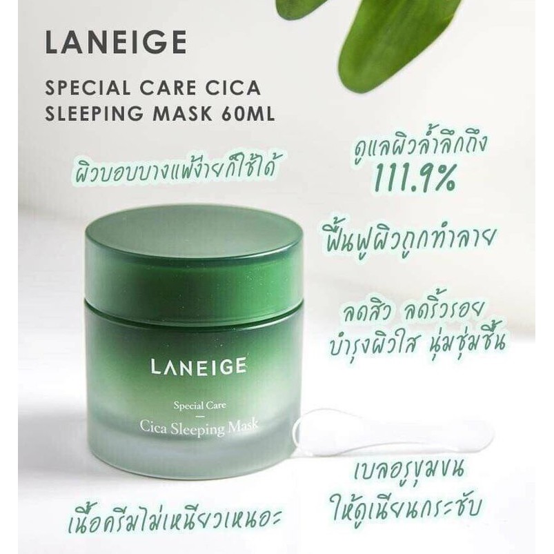 LANEIGE Cica Sleeping Mask 10ml. Shopee Thailand
