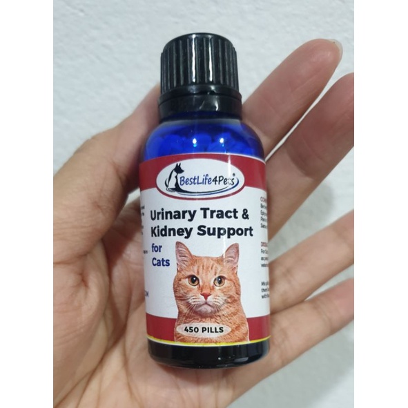 Cat Urinary Blockage Home Remedy [Prevention When To Go To, 59 OFF
