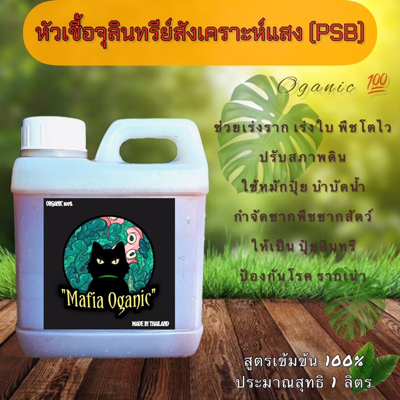หัวเซื้อ จุลินทรีย์สังเคราะห์แสง PSB สูตรเข้มข้น คุณภาพสูง (ขนาด1ลิตร