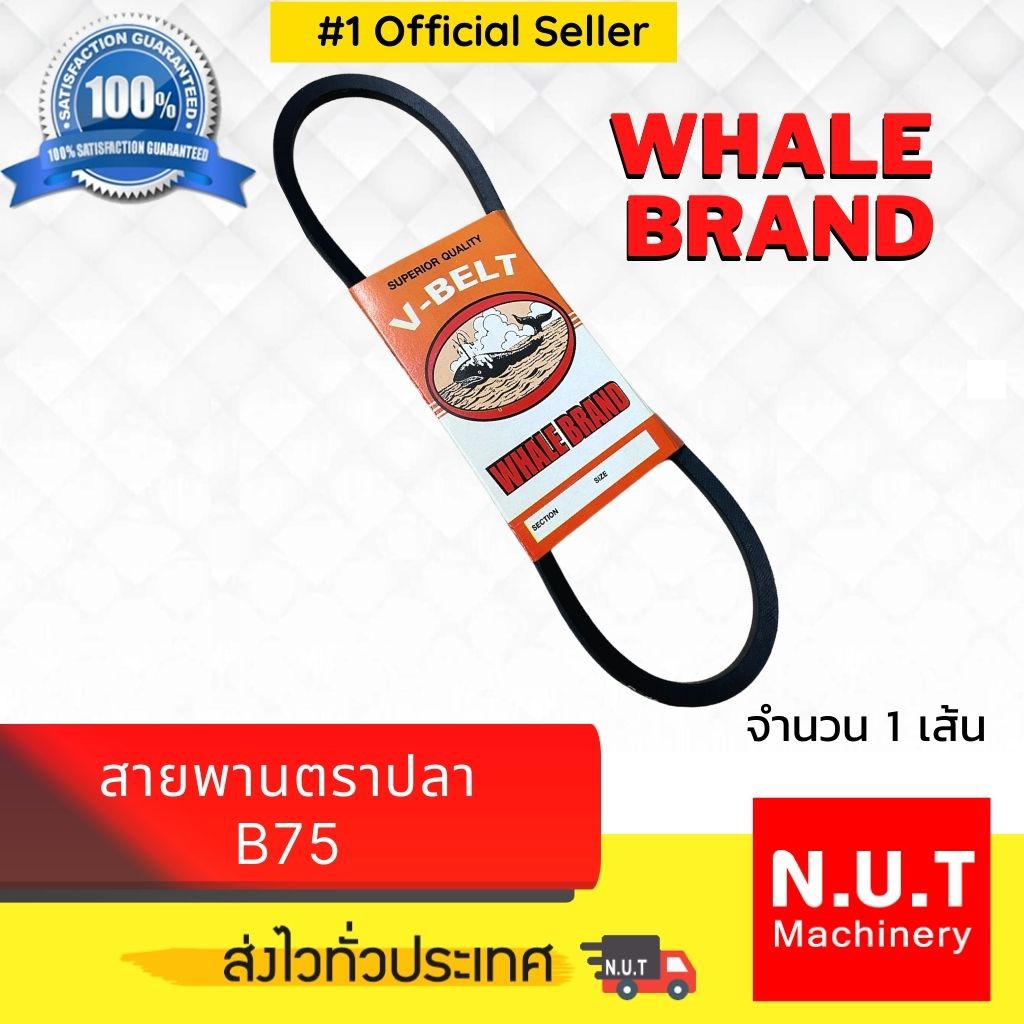 สายพาน B75 VBELT ร่อง B ร่องเรียบ Shopee Thailand