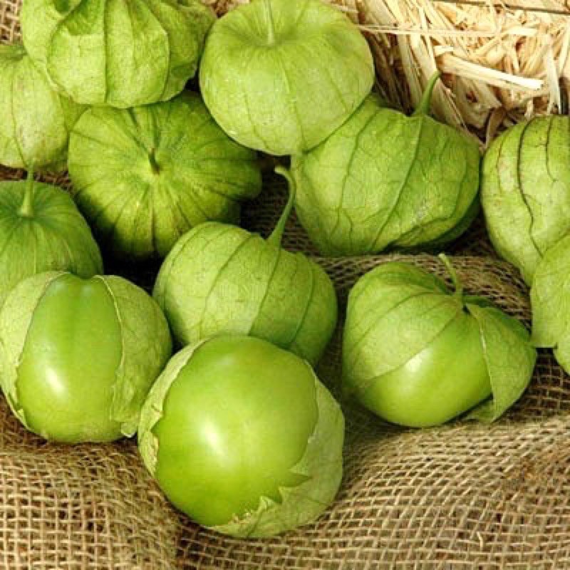 เมล็ดพันธุ์ โทมาทิลโล่,เคพกูสเบอร์รี่ หรือ โทงเทงฝรั่ง Tomatillo Seed