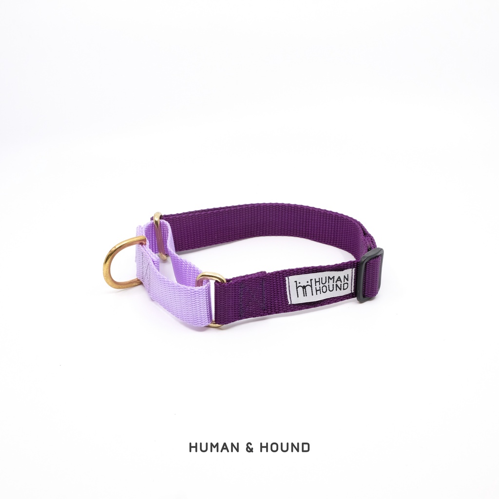 Martingale Collar Human and Hound ปลอกคอกระตุก ฝึกสุนัข สี Lavender