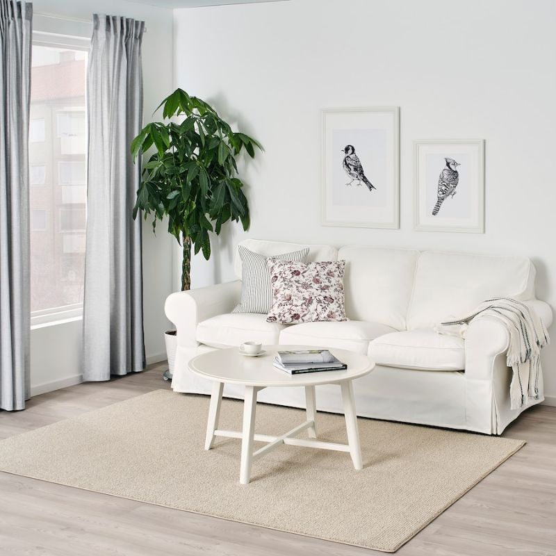 IKEA พรมขนสั้น SPORUP RUG สปูรึป ขนาด 240×170 ซม. สีเบจ Shopee Thailand