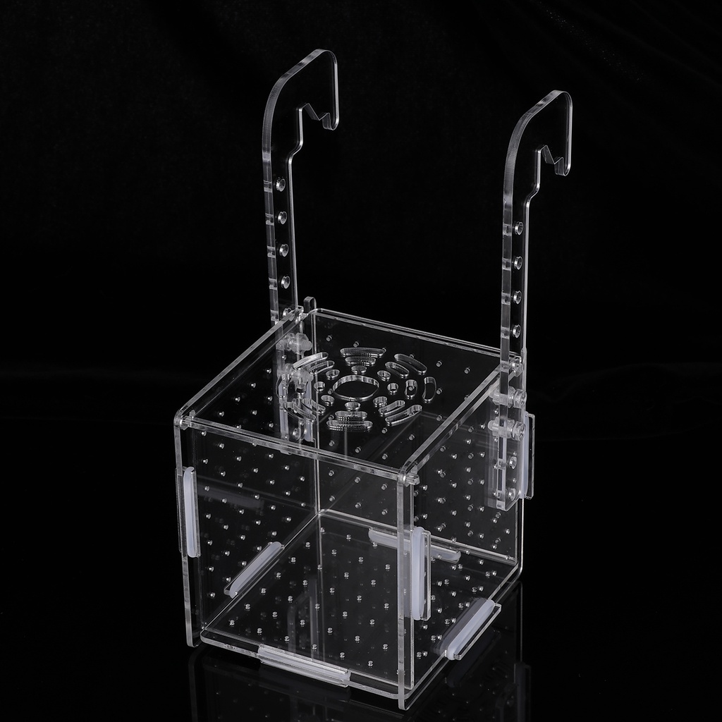 Box Tankaquarium Breeder Breeding Acrylic Isolation Net Incubator Betta